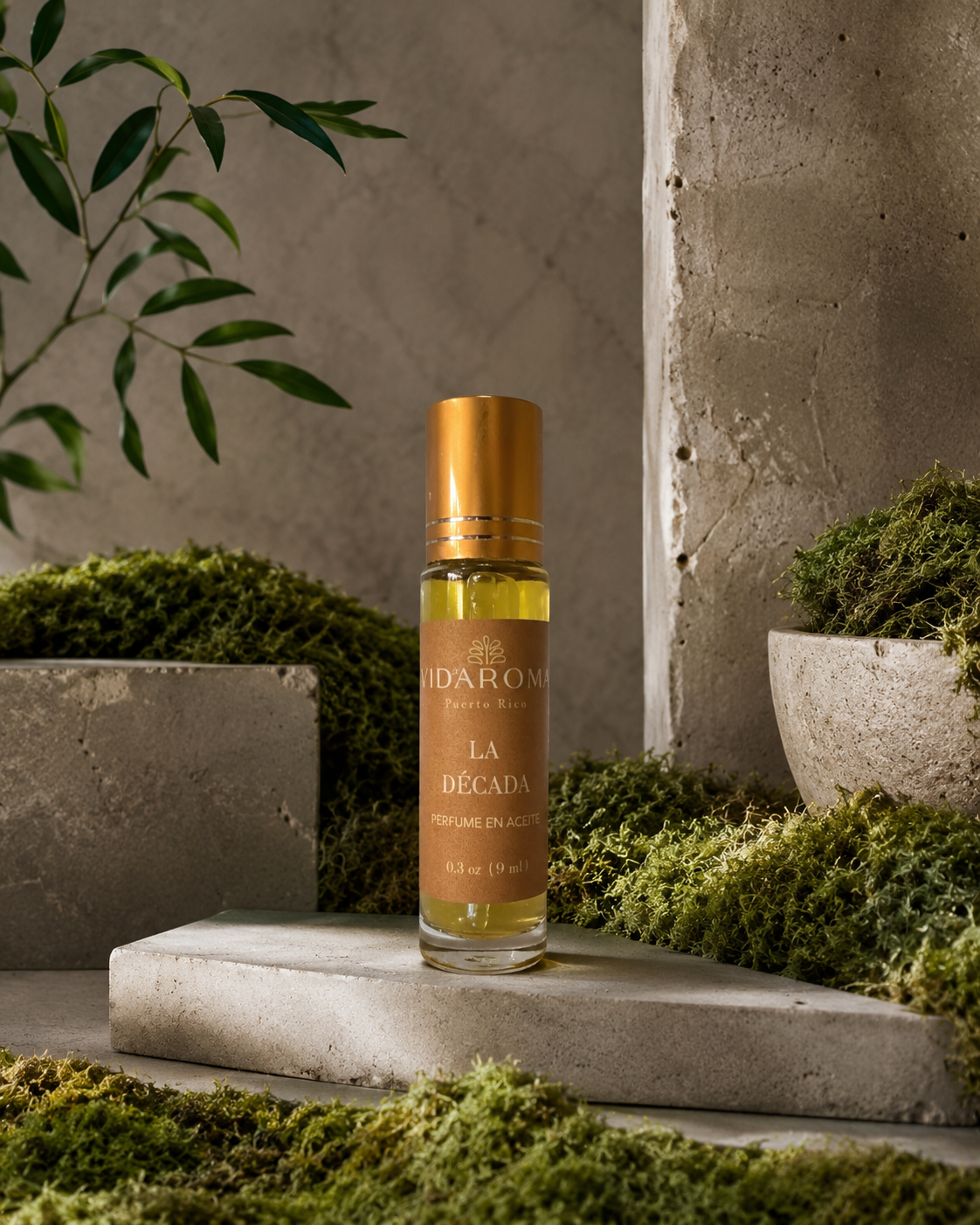 Perfume la década